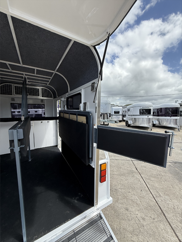 2HSL DX LTD 350 - Image 7