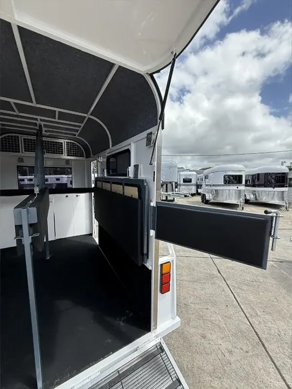 2HSL DX LTD 350 - Image 12