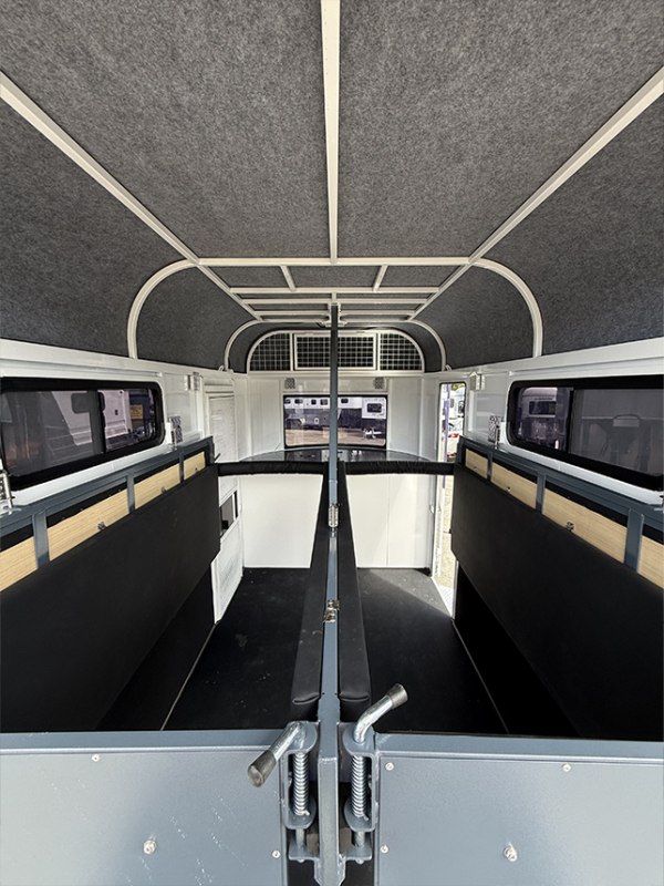 2HSL DX LTD 350 - Image 11