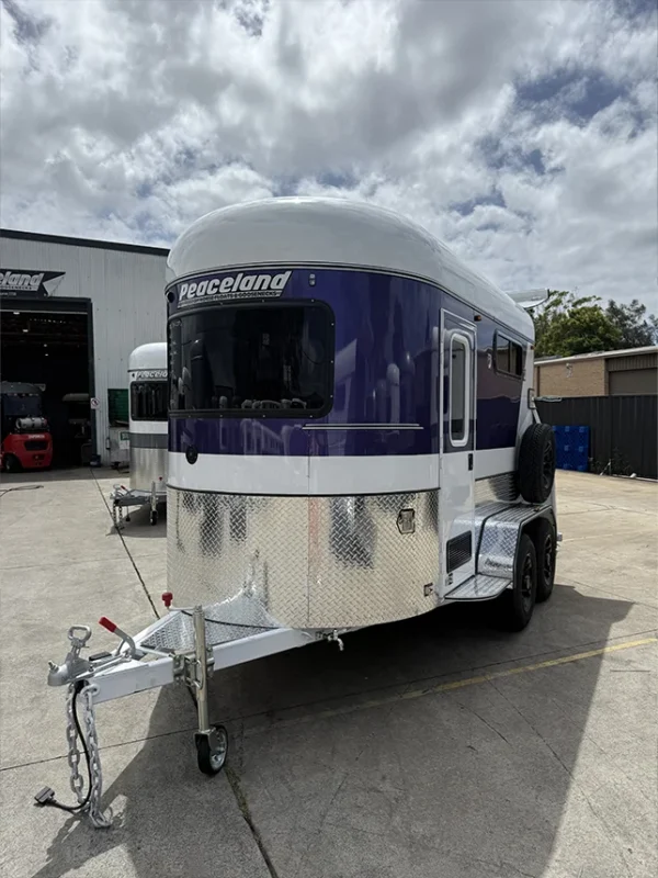 2HSL DX LTD 350 – WHITE AND PURPLE - Image 4
