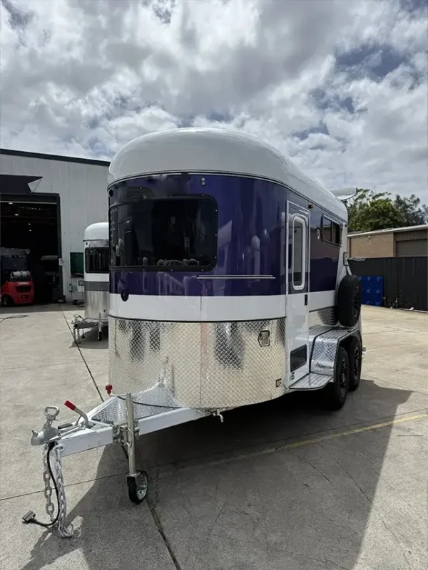 2HSL DX LTD 350 – WHITE AND PURPLE - Image 2